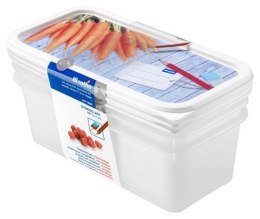 DOMINO Zestaw pojemników do zamrażarki 3 x 1,2 l Rotho