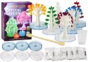 Zestaw Edukacyjny Doświadczenie Hodowla Kryształów Drzewka LEAN Toys