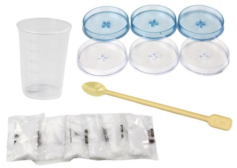 Zestaw Edukacyjny Doświadczenie Hodowla Kryształów Drzewka LEAN Toys Zestaw Edukacyjny Doświadczenie Hodowla Kryształów Drzewka LEAN Toys